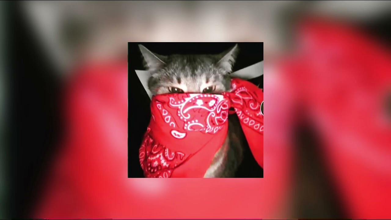 Bitches Come And Go / Sped up TikTok