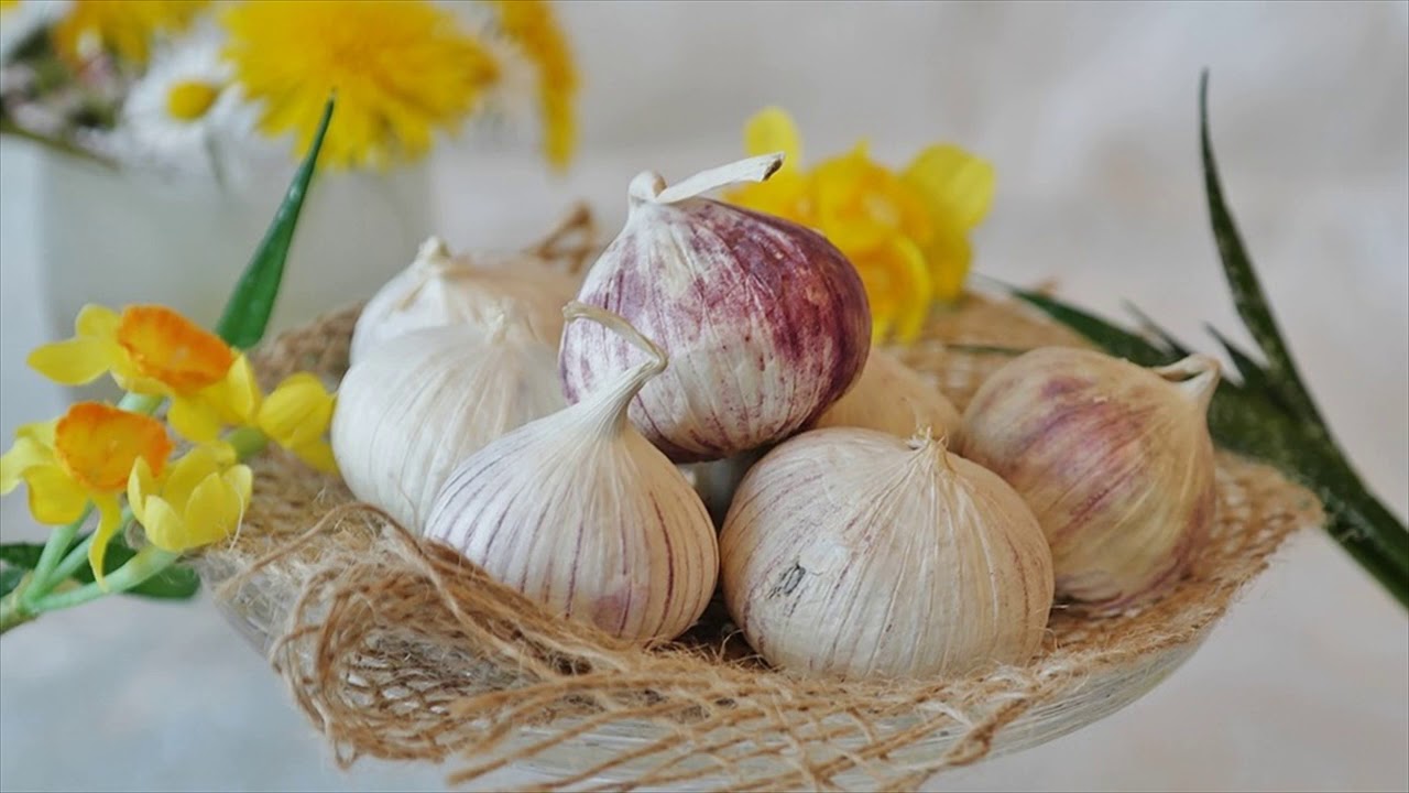 Garlic Spray For Mosquito Repellents- How To Use