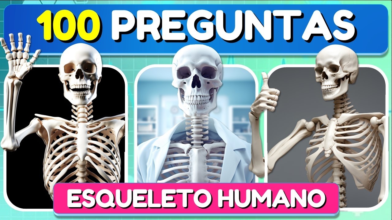 ✅101 Preguntas Sobre el 