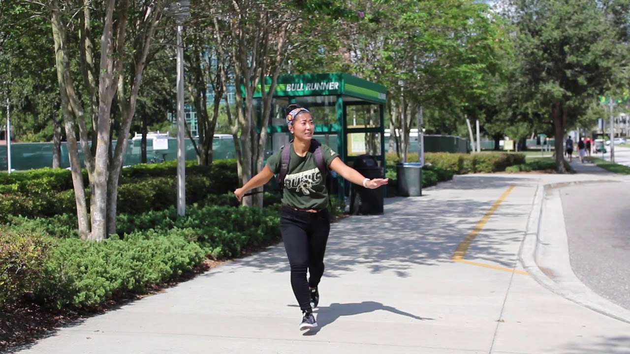 Using College Transportation at USF | University of South Florida