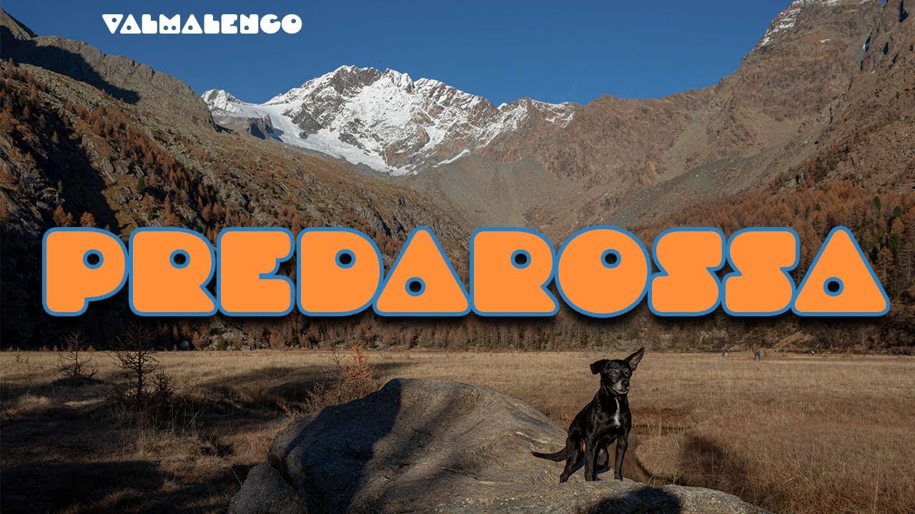 Predarossa - Rif. Ponti
