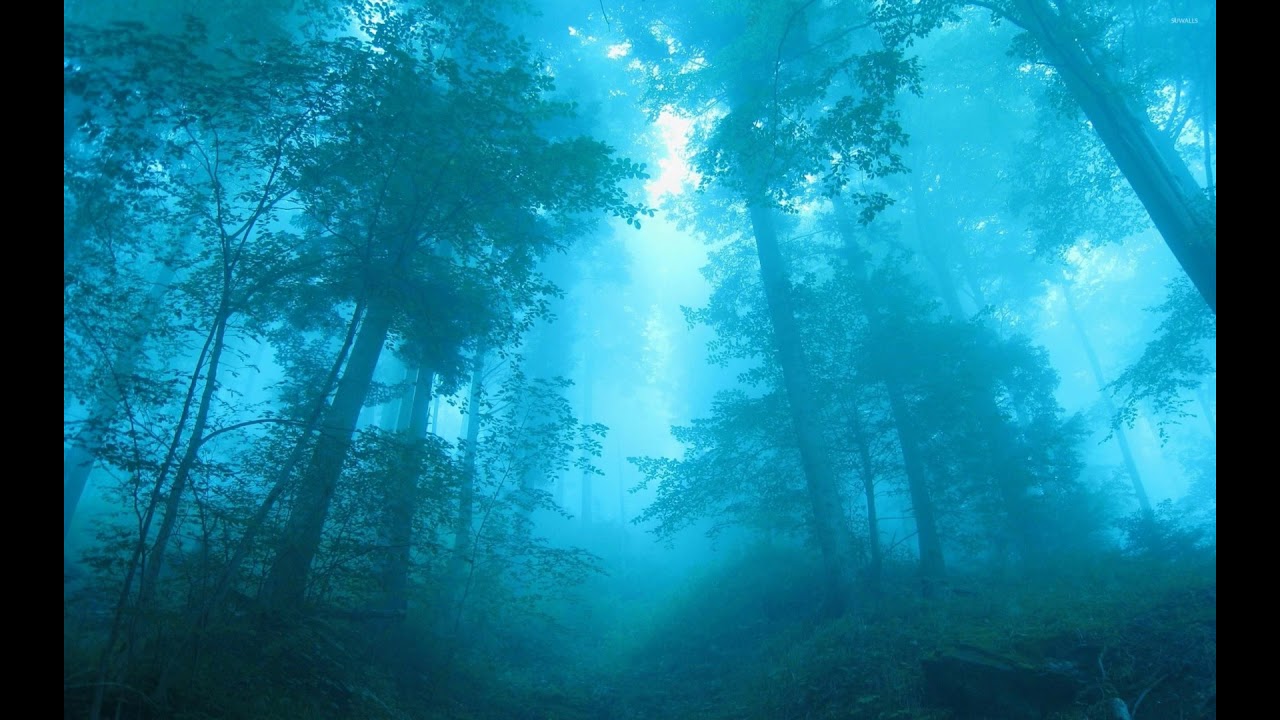 Pokemon Mystery Dungeon: Foggy Forest (Remix)