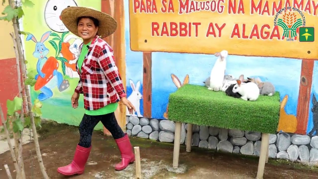 Mercy Biala Rabbit Raising Experience
