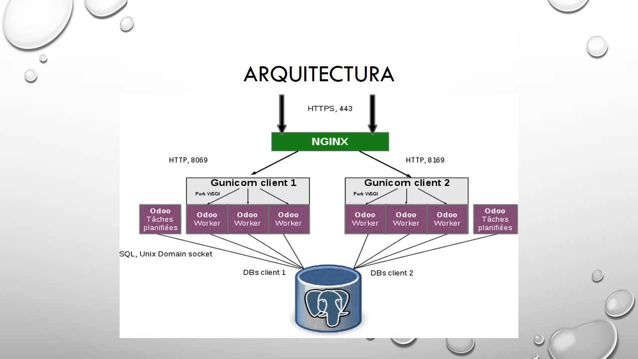 Plan de Proyecto