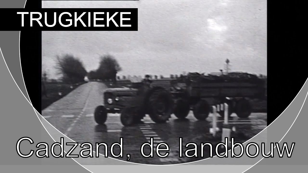 TRUGKIEKE - Cadzand, de landbouw