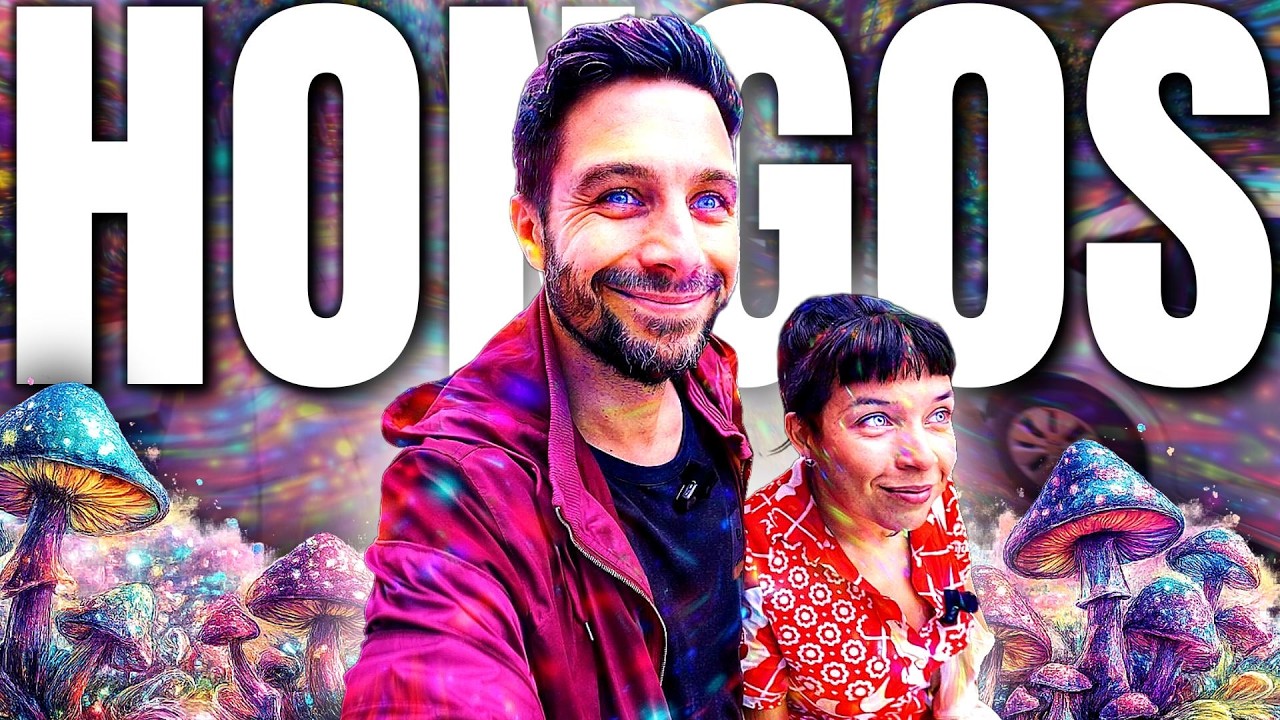 HONGOS: comida, medicina y viajes mentales 🍄‍🟫