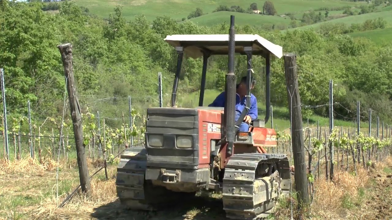 lavorazione meccanica intrafilare del vigneto da 