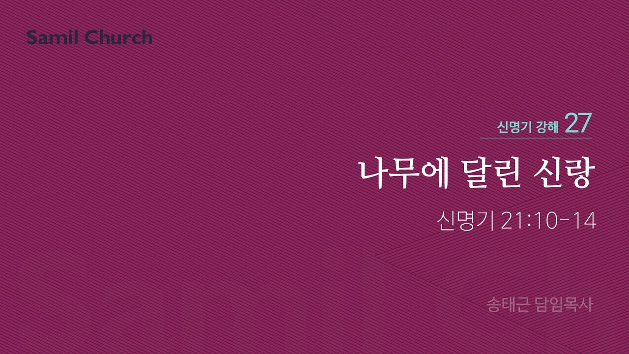 신명기 강해(27) '나무에 달린 신랑'/ 송태근 목사