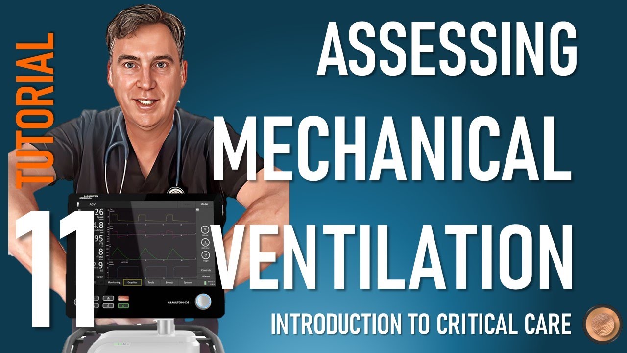 Assessing Mechanical Ventilation