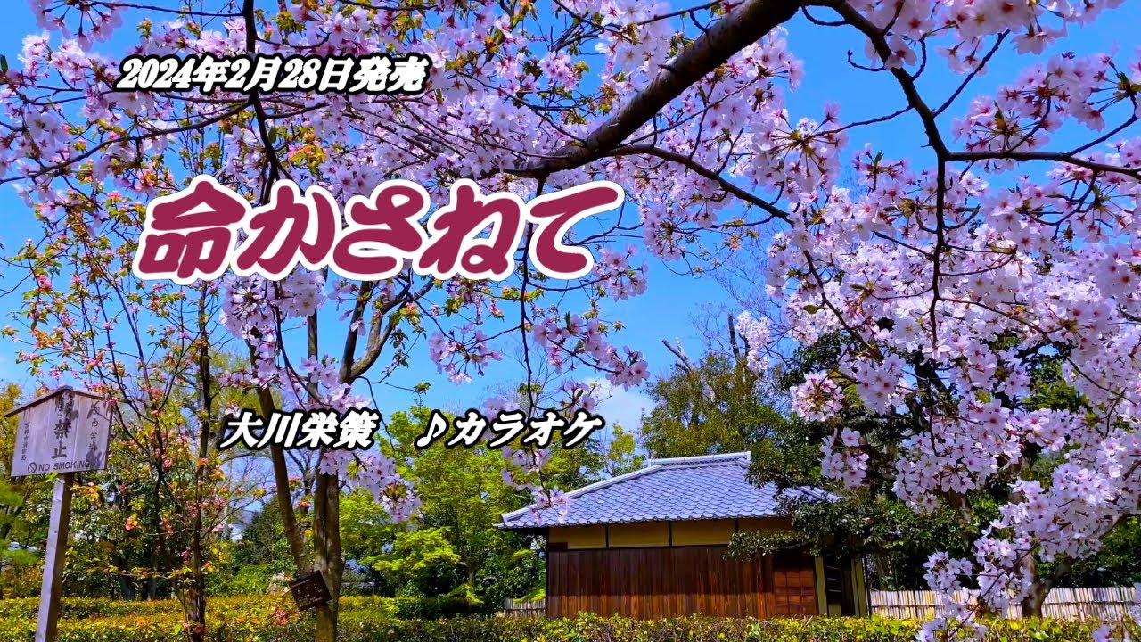 【命かさねて】大川栄策　カラオケ　2024年2月28日発売