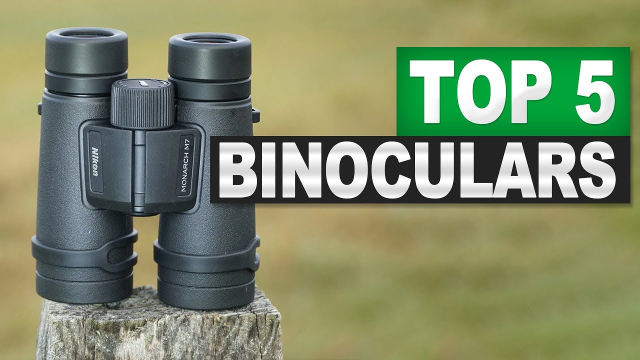 Top 5 Best in Binoculars (2026) Tested & Reviewed!