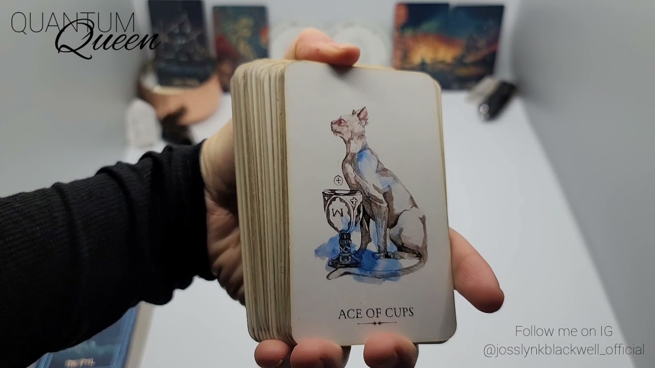 Capricorn - Wow Cap, who in the bloody he** is this person?! - Quantum Tarotscope
