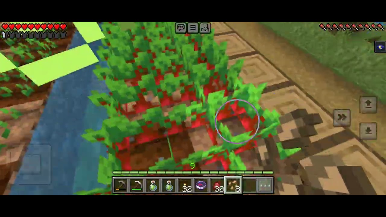 Playing Minecraft day 43