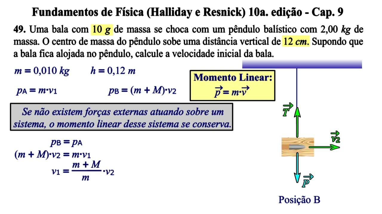 Aula 49 - Fundamentos de Física (Halliday e Resnick) 10a. Edição - Cap 9.