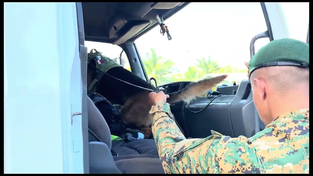 SENAFRONT decomisa fresas de presunto contrabando en la frontera tico-panameña