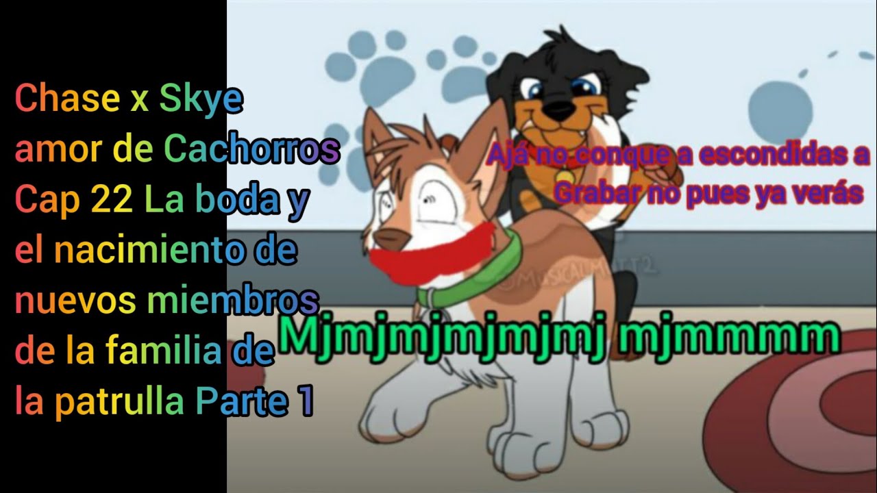 Chase x Skye Amor de Cachorros Cap 22 Parte 1