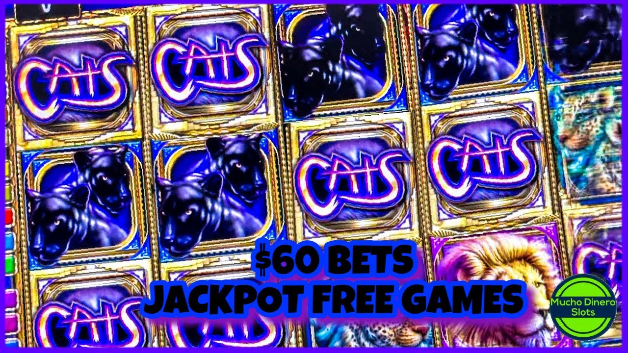 CATS SLOT MACHINE/ FIRST JACKPOT ON THIS GAME/ HIGH LIMIT/ $60 BETS/ JACKPOT/ FREE GAMES