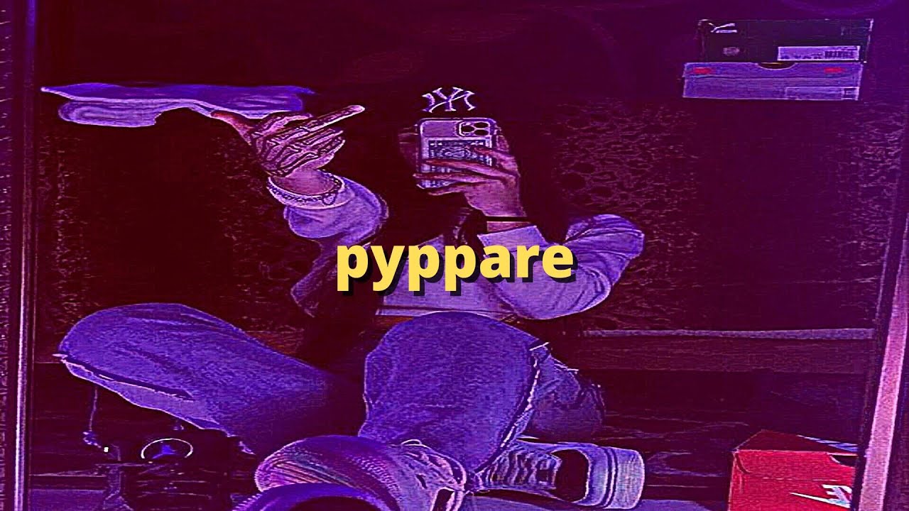 taxi b - pyppare (slowed + lyrics)