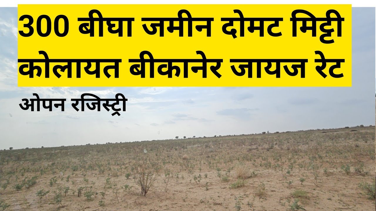 कोलायत की 300 बीघा जमीन दोमट मिट्टी जिला बीकानेर राजस्थान #land #farming #landforsale #kolayat