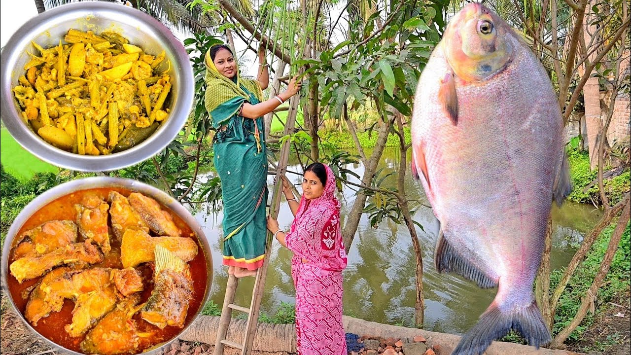 গাছ থেকে সজনেডাটা পেড়ে আলু, বেগুন, বড়ি দিয়ে রান্না করলাম সাথে 4 কেজি গোল্ডেন রূপচাঁদ মাছের ঝাল