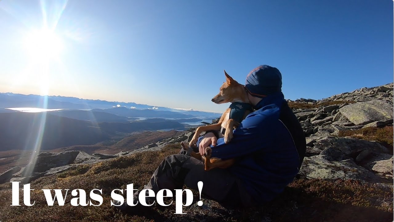 Sunny Mountain Hike
