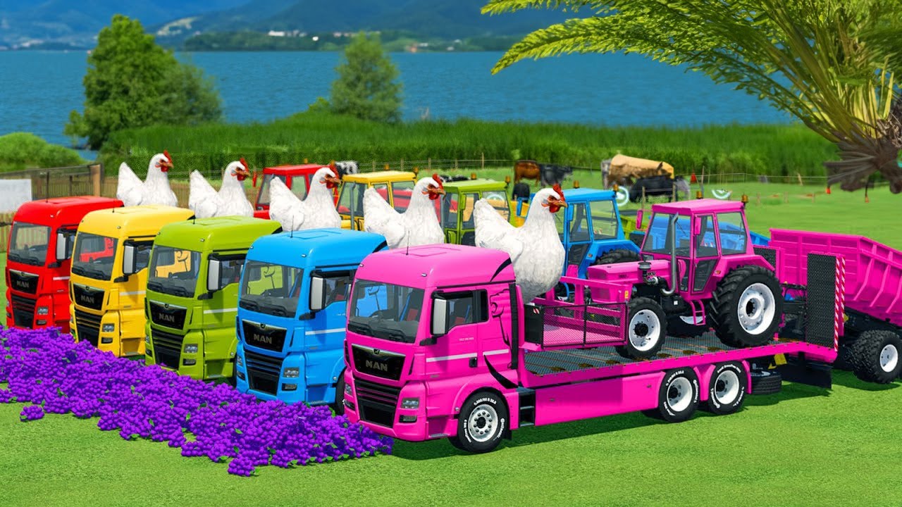 LOAD AND TRANSPORT GIANT CHICKENS & ALFALFA WITH FENDT TRACTORS - Farming Simulator 22