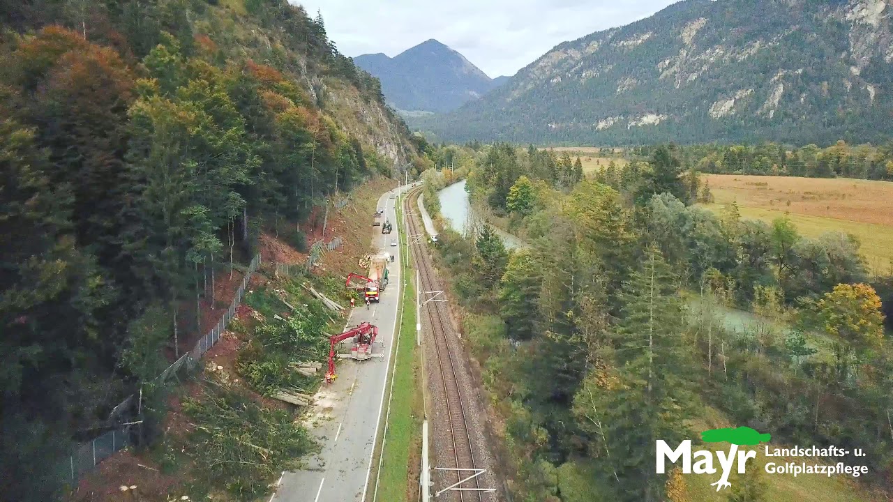 Spezialbaumfällungen an der B2 / Oberau