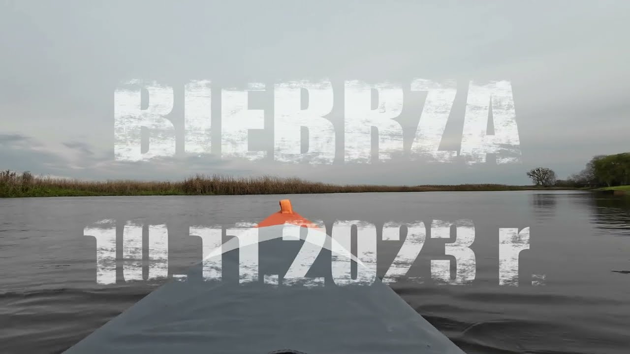 Biebrza 10.11.2023 r