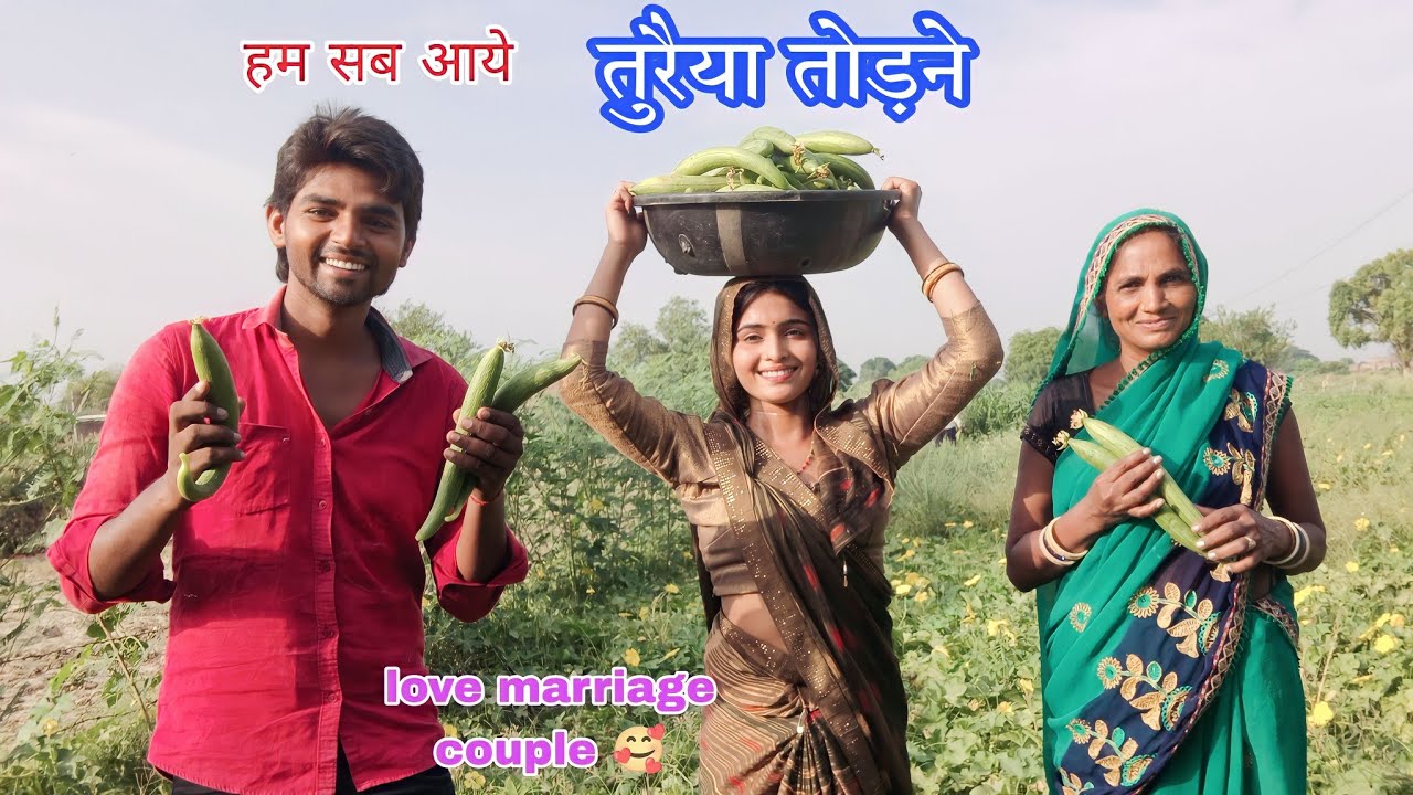 हरी सब्जियां मेरे खेत में #vlog #dailyvlog #sandeepsulekha