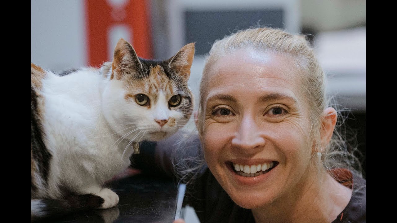 Cat Hospital | RT&Eacute; One