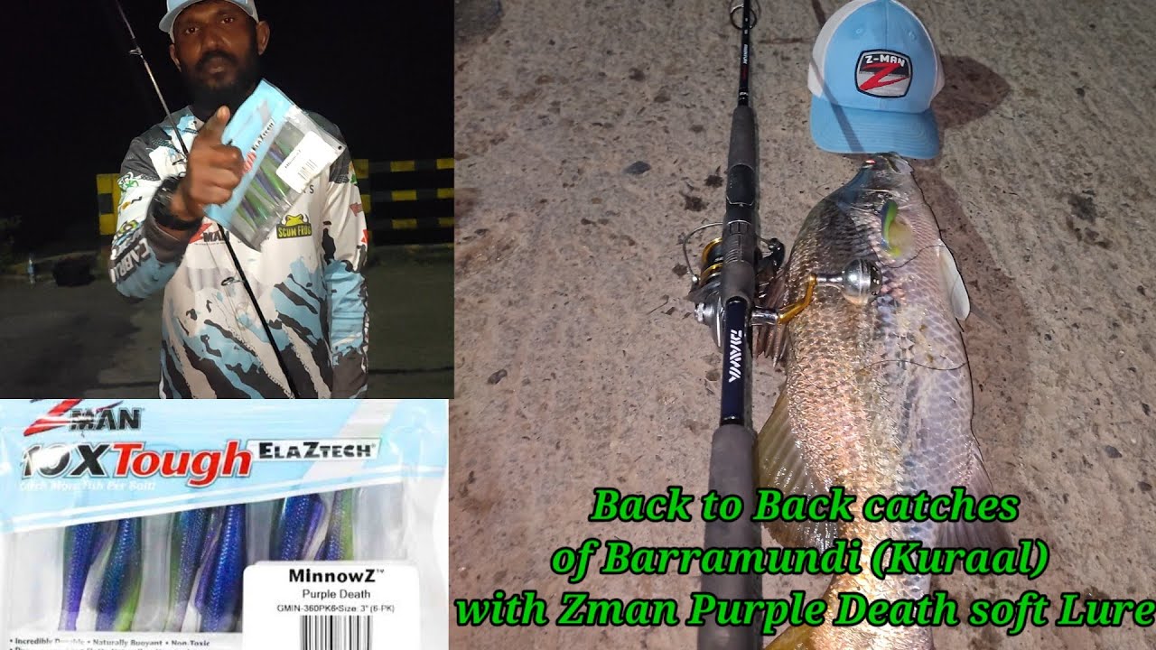 Back to Back catches of Barramundi (kuraal) with Zman Purple Death 3inch softlure tips for Beginners