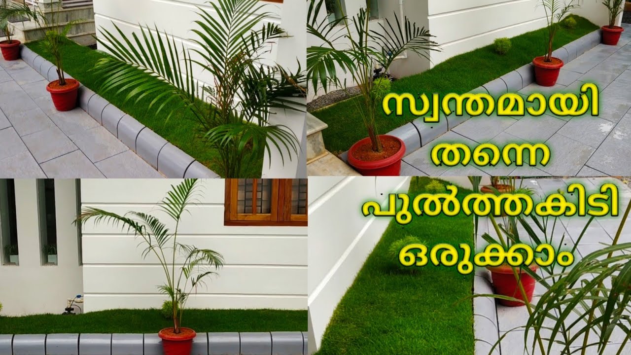 മുറ്റത്തൊരു മനോഹരമായ പുൽത്തകിടിയൊരുക്കാം | Making a lawn at home!!!