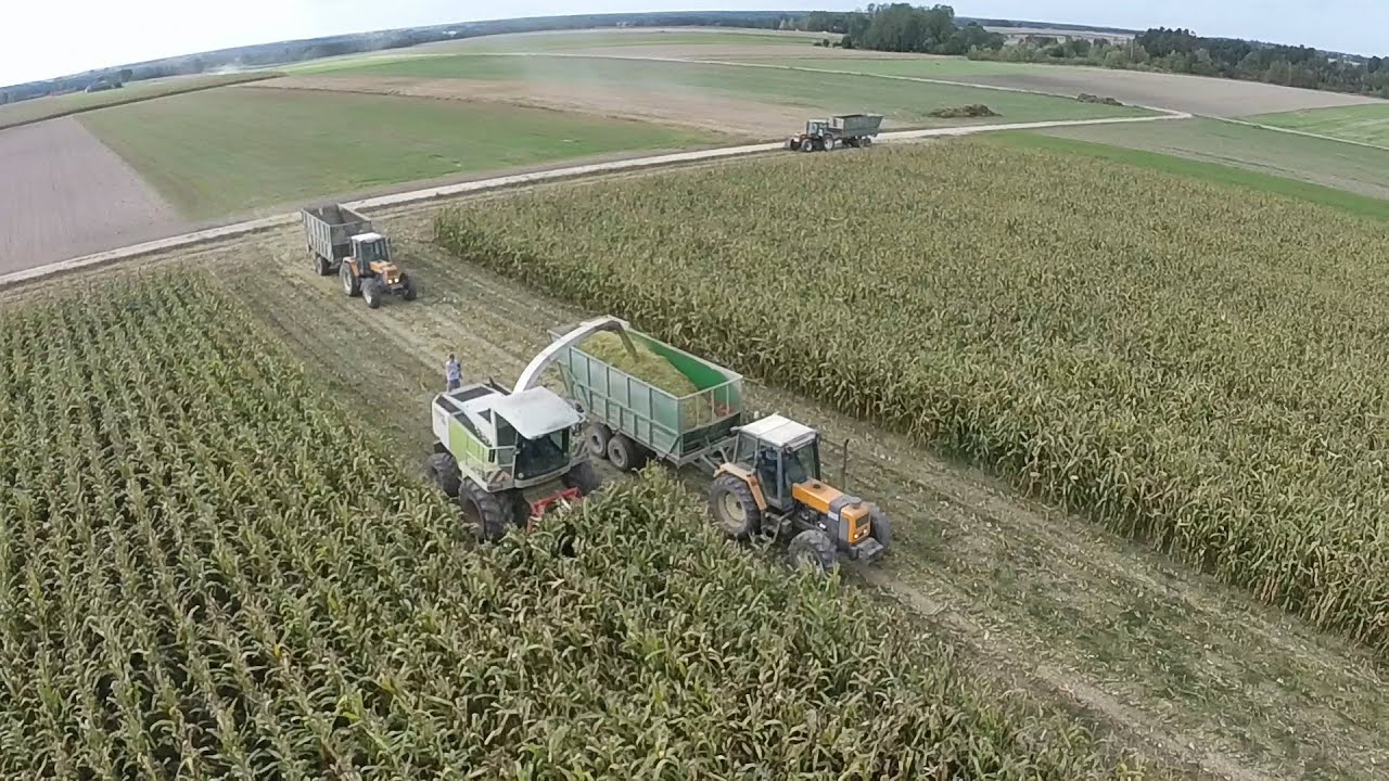 █▬█ █ ▀█▀ ☆Koszenie Kukurydzy |4x Renault, Claas, Deutz Fahr