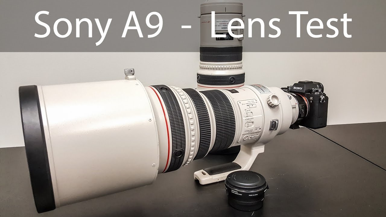 Sony A9 Lens Test Canon 400mm & 300mm F2.8 IS
