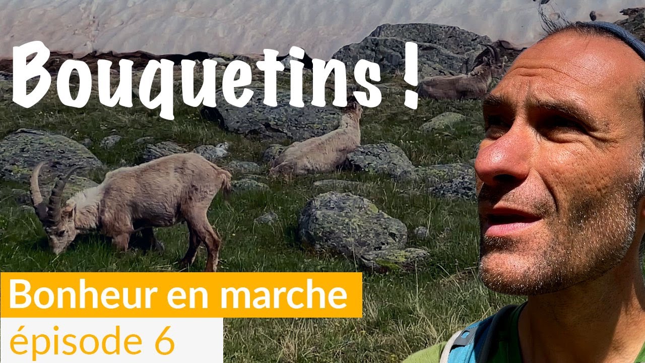 Rando sur le Sentier des Bouquetins : Grande Dixence, col des Roux, cabane de Prafleuri