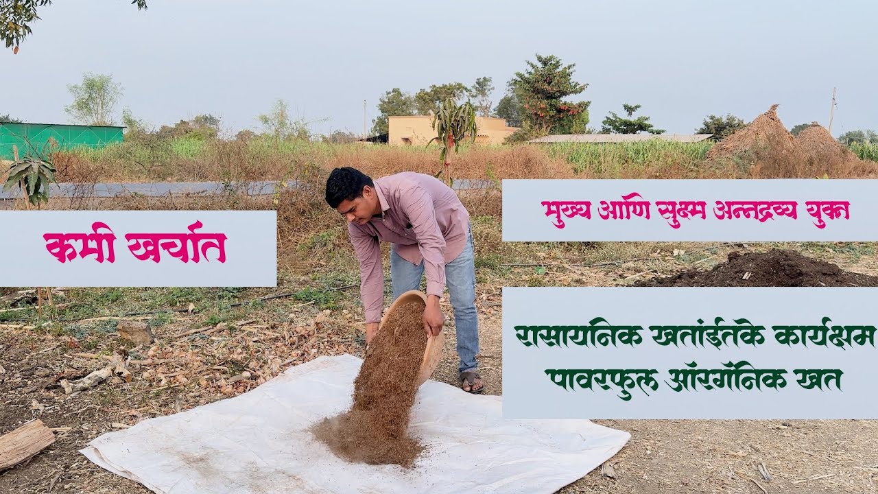 शेणखत + कोंबडी खत + ह्युमिक ॲसिड! 🚀 सेंद्रिय खतांचा सुपर फॉर्म्युला | Organic Fertilizer Mix