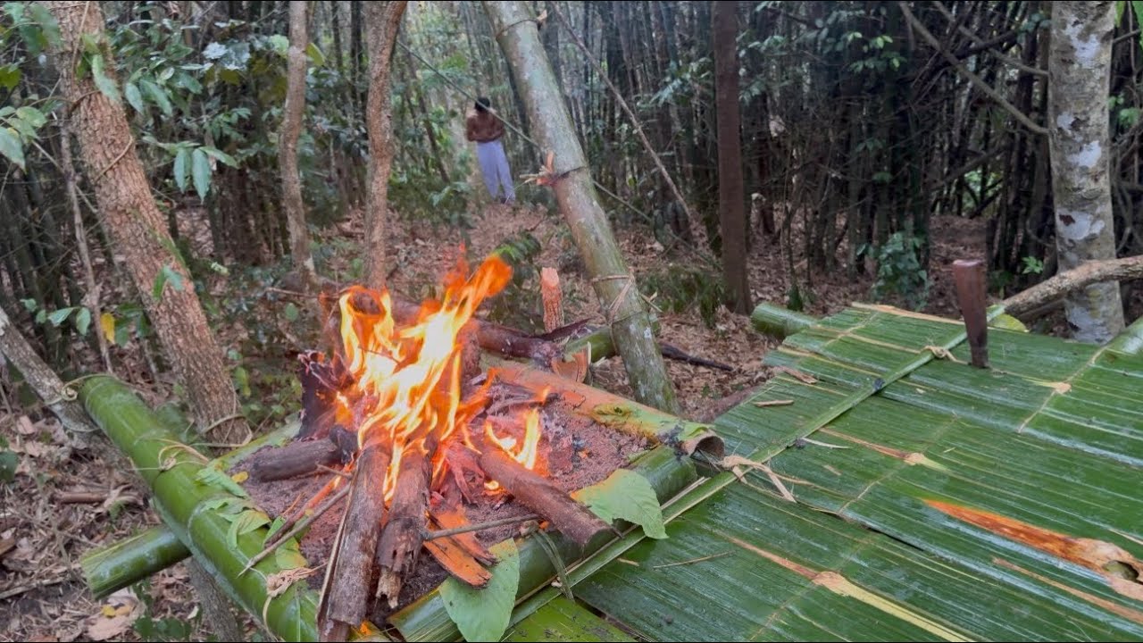 ตัดสินใจนอนห้างปริศนาก่อนจะพบเรื่องหัยนะที่คาดไม่ถึง เจ้าภูผาที่หายตัวไปมาขอความช่วยเหลือ ￼
