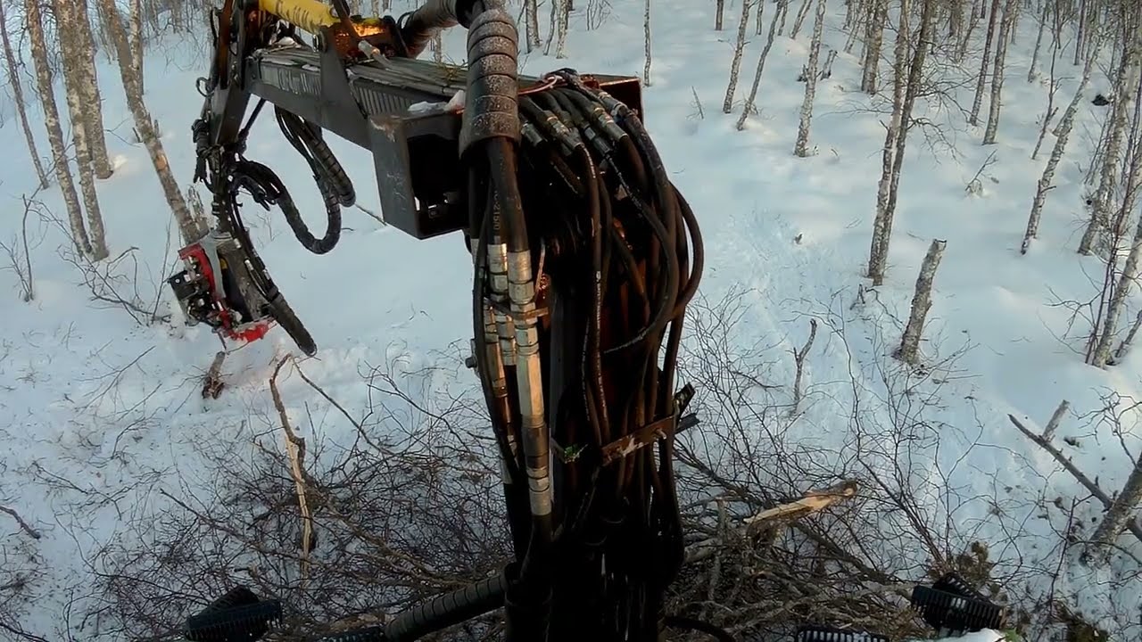 Hakkuu jatkuu, uusia kuvakulmia... Valtra Nisula @TerO6800