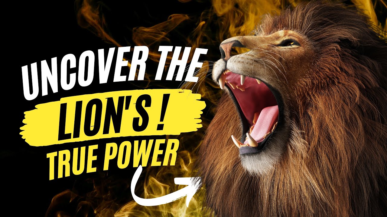 How Strong Is A Lion? - Lion Strength