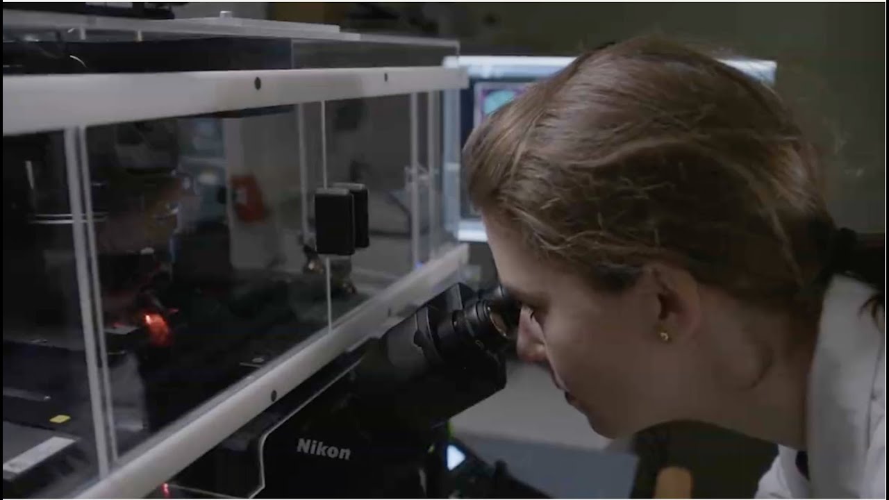 Department of Human Genetics, KU Leuven