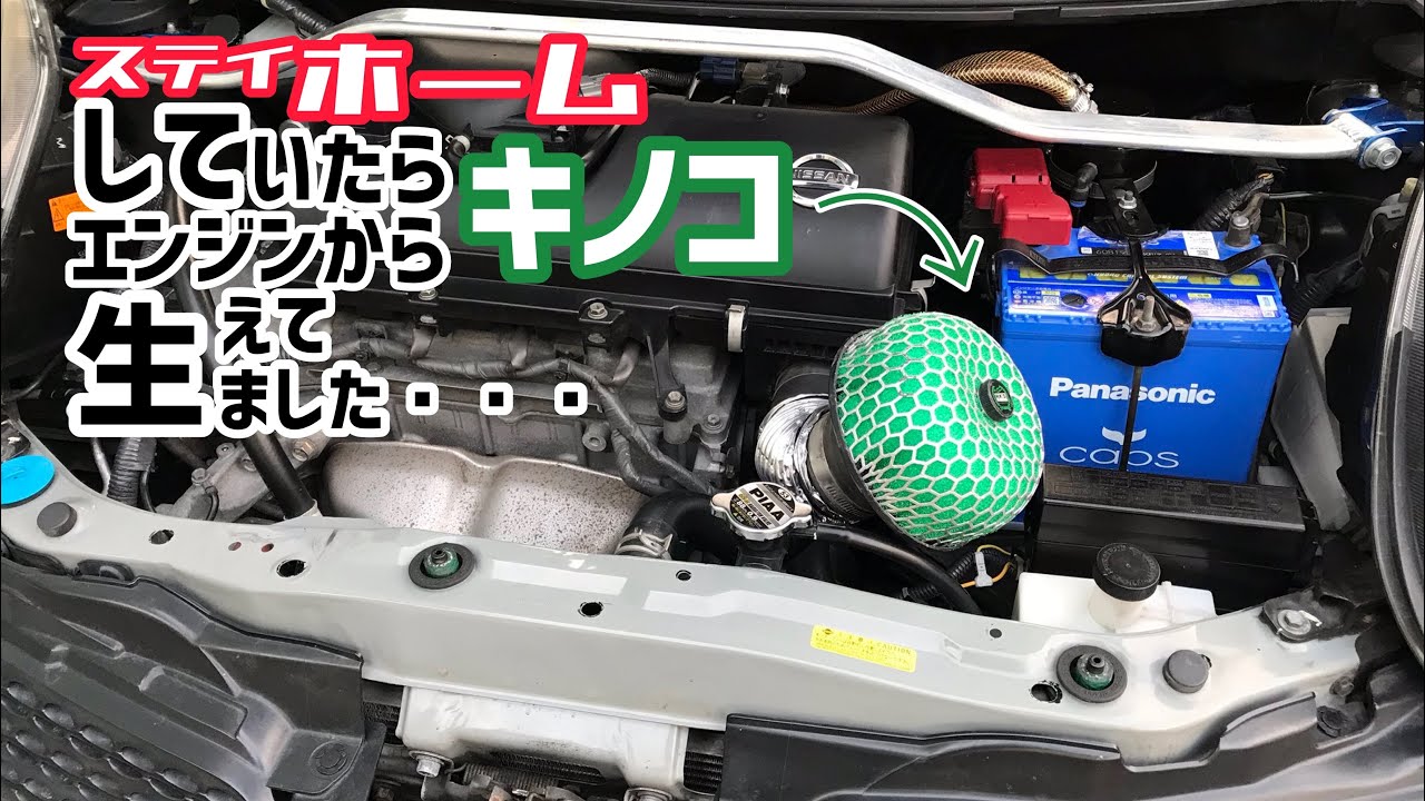 マーチにHKS パワーフローを付ける！ ※概要欄も必読