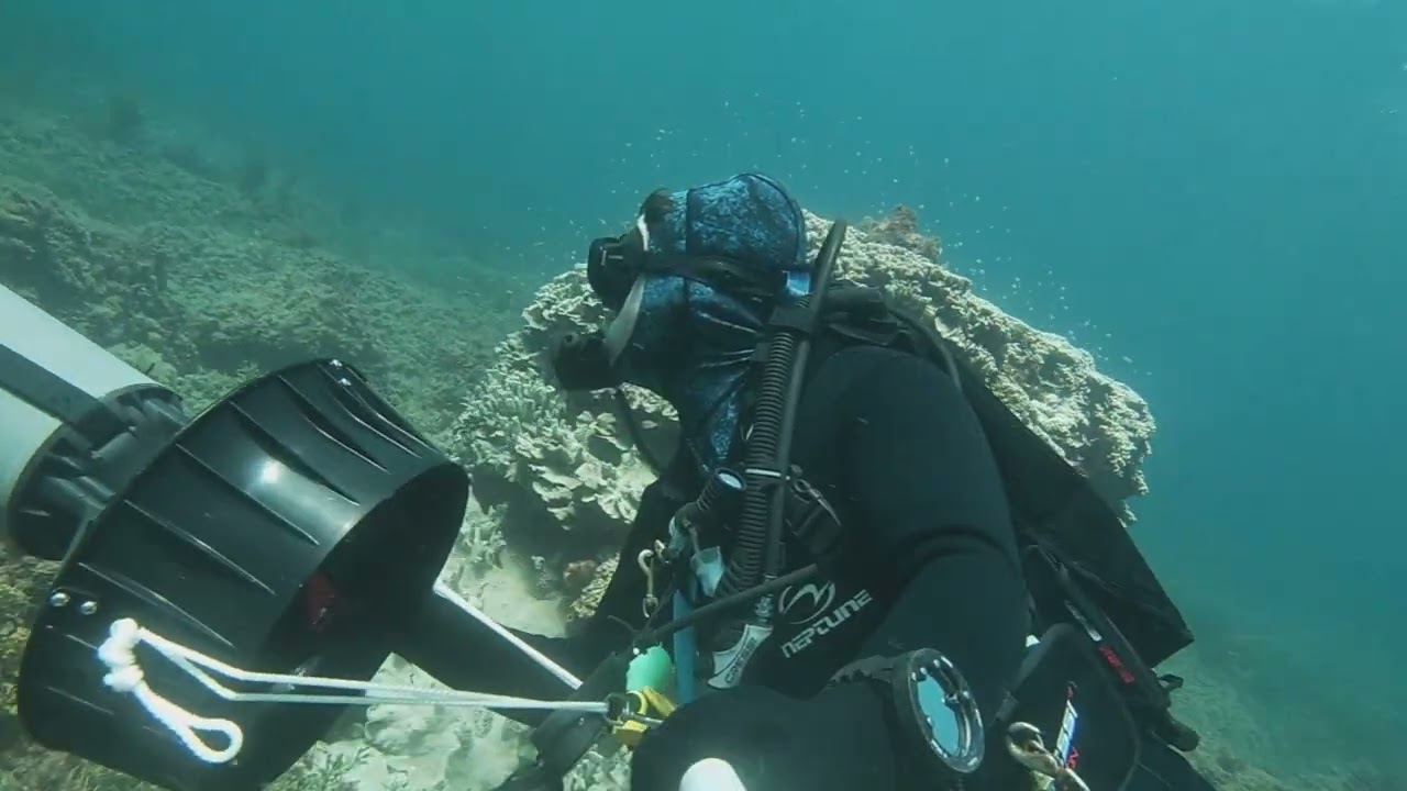Diving point piquet in third person