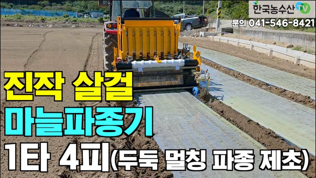 [한국농수산TV] 세상에서 제일 편하고, 빠른 마늘 파종기를 소개합니다