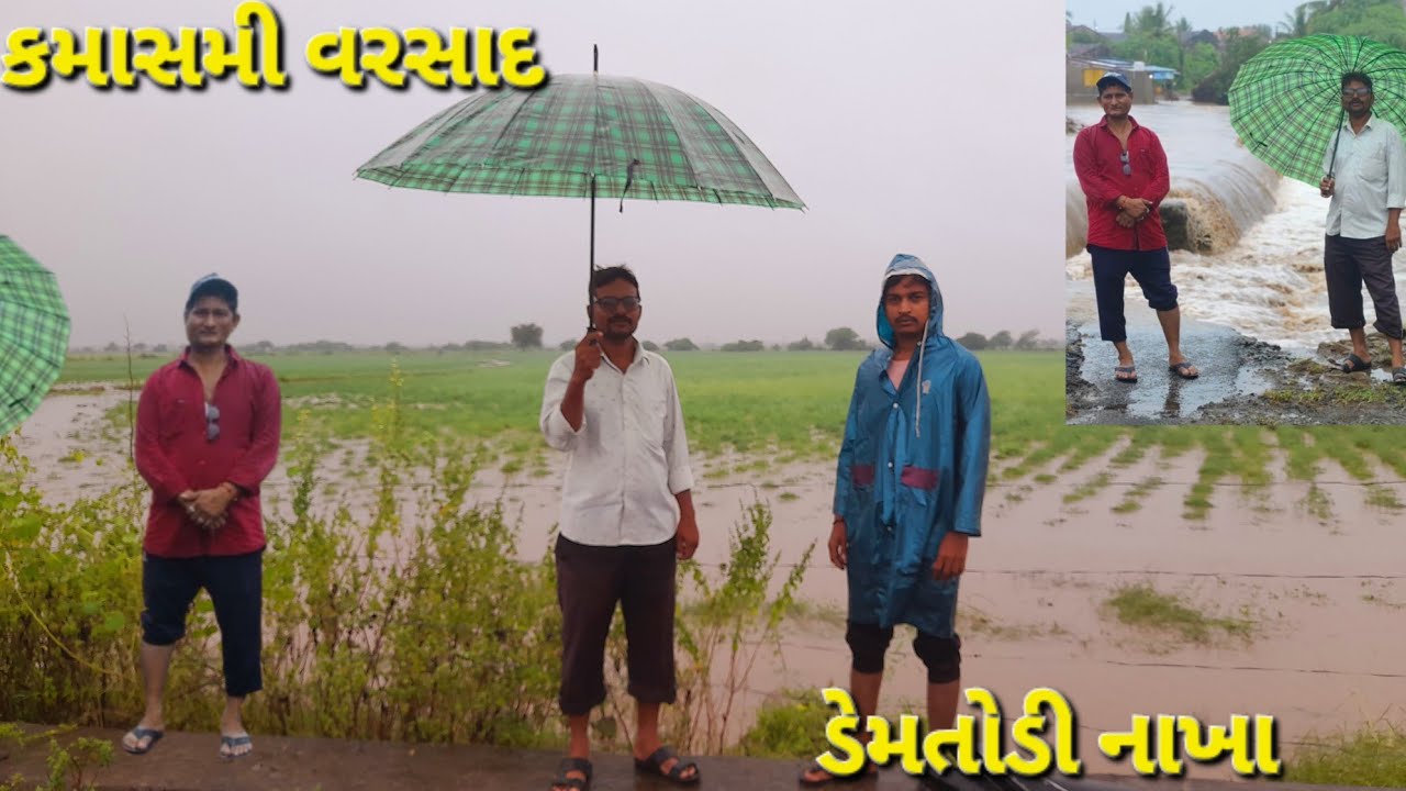 ધોધમાર વરસાદ  ખેતર મા પાણી પાણી