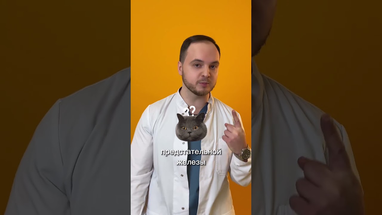 Хронический простатит: что делать?  #доказательнаямедицина #простатит #уролог