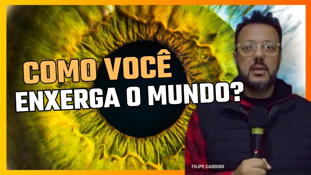 COMO VOCÊ ENXERGA O MUNDO ?