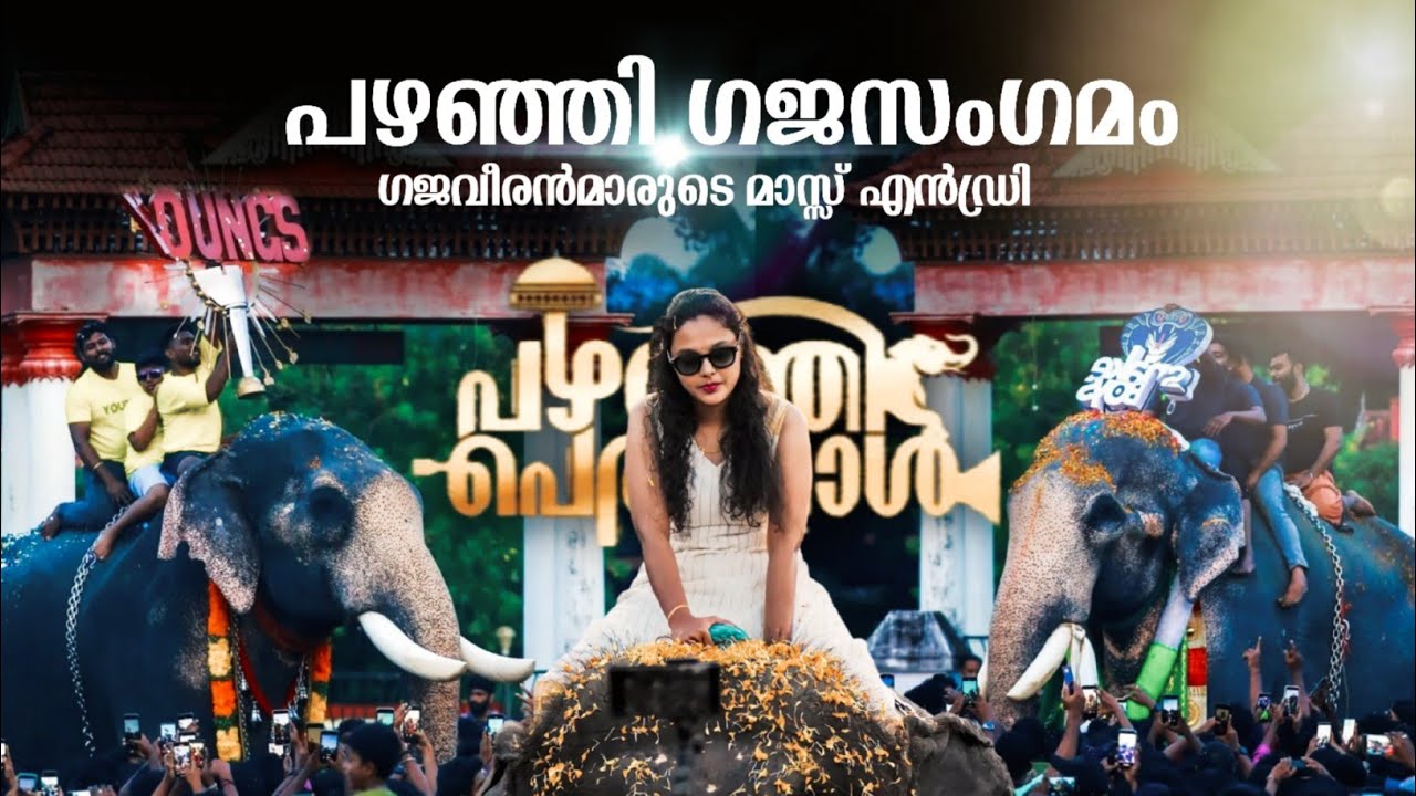 ആനകളുടെ മാസ്സ് എൻട്രി🔥|||പഴഞ്ഞി ഗജസംഗമം 2023|||pazhanji palli perunnal 2023🔥