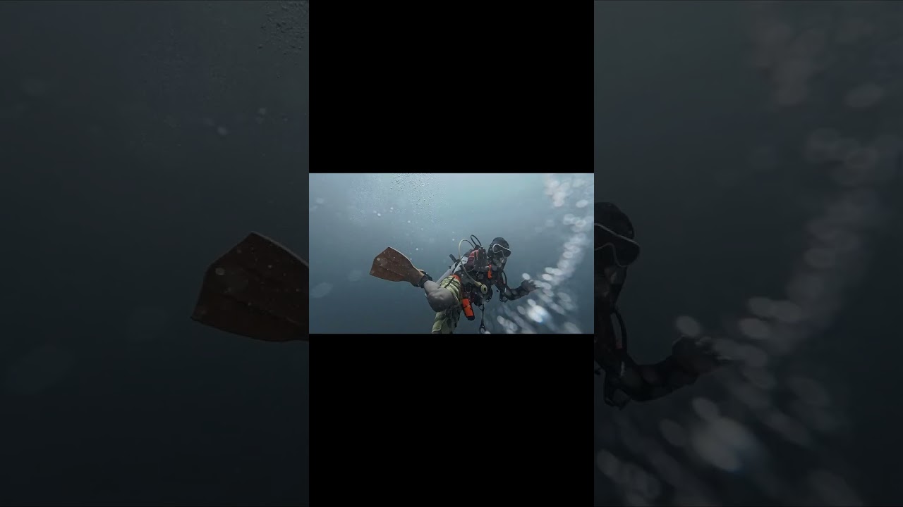 Scuba session1