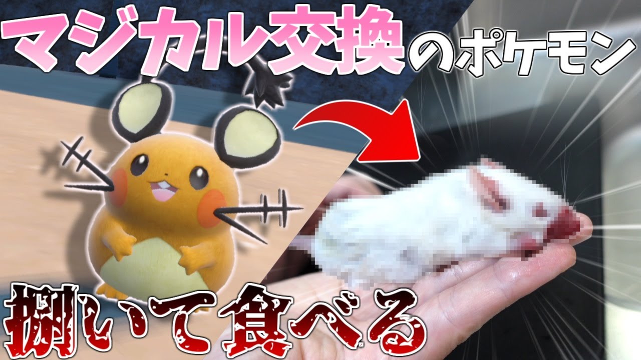 交換したポケモン食べる企画でペットのエサ食べてみたｗｗｗ【ポケモンsv】