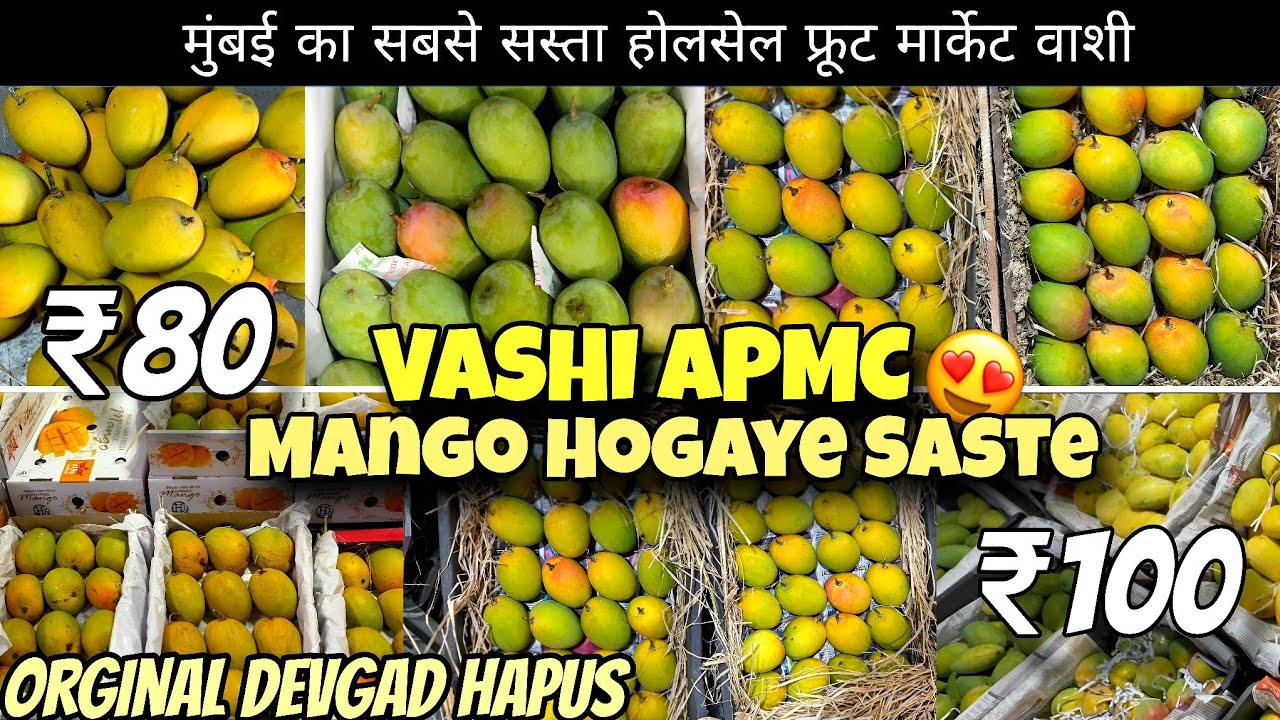APMC Fruit Market Vashi | Vashi Mango Market 🥭 | Mango Price Today Mumbai | Wholesale Fruit Market